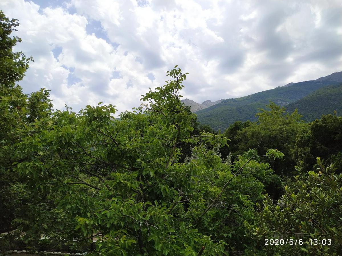 Guest house Akamatis Giorgos