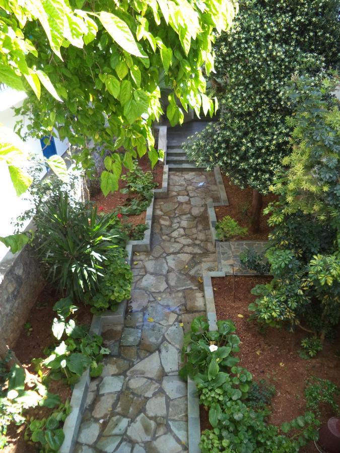 Hotel Andreas - Agistri *