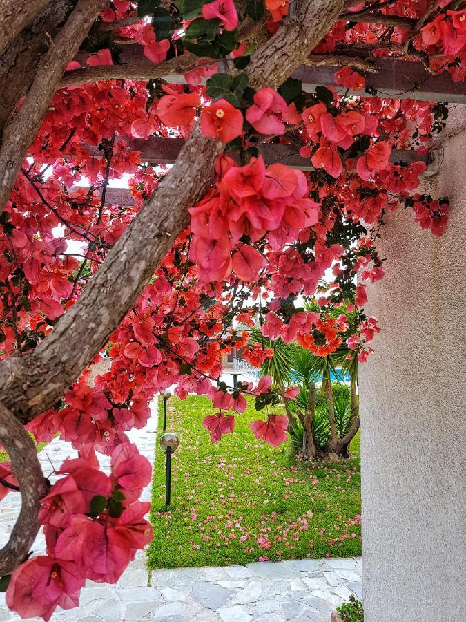 Kalamitsi Aparthotel Preveza