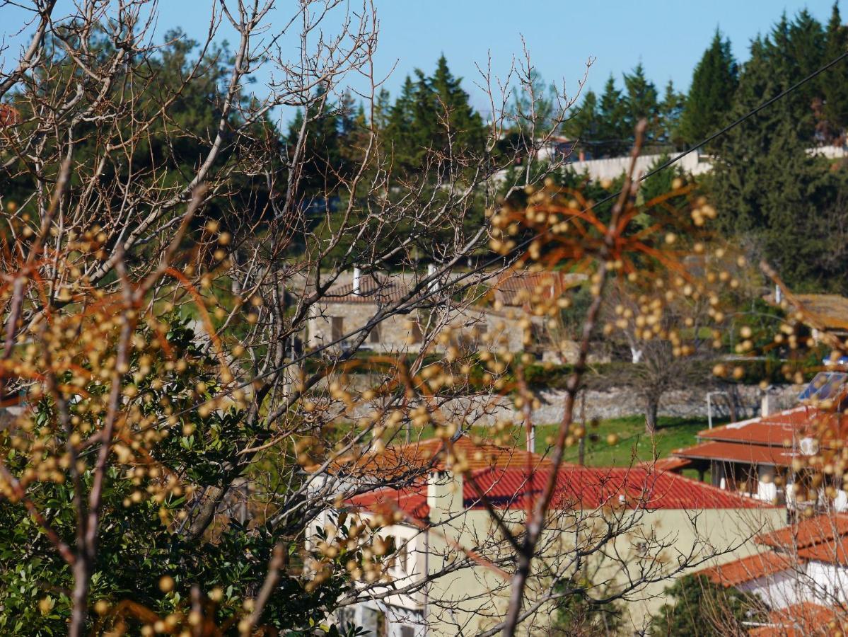 Holiday home Casa Di Grigoris *