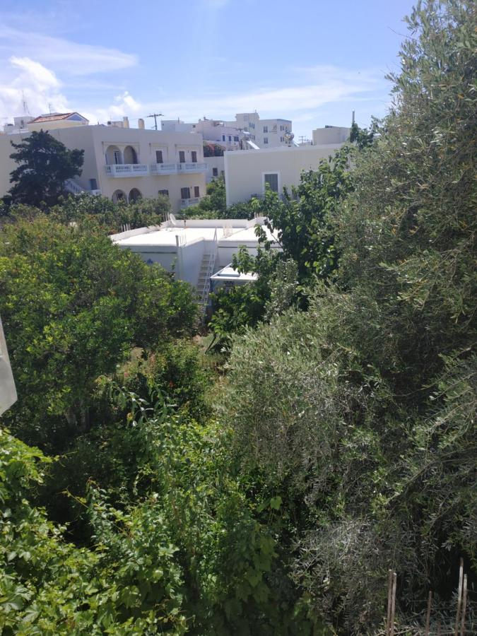 Bed & Breakfast Enalion-tinos Tinos