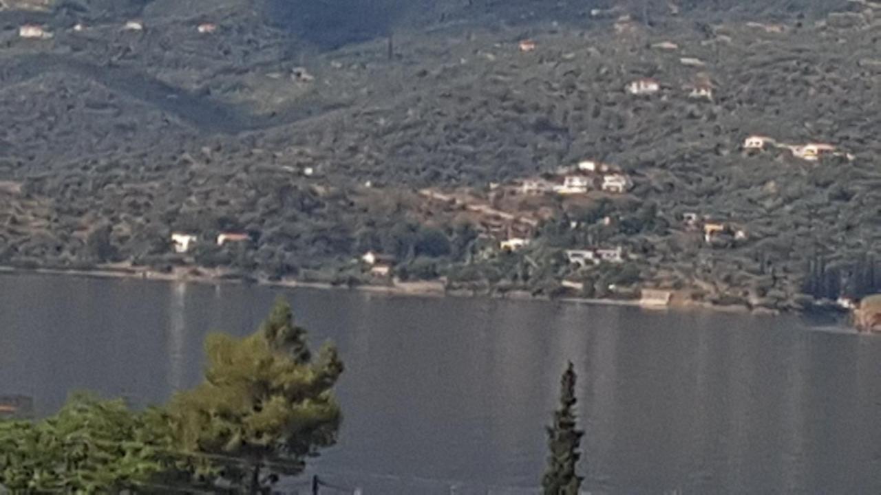 Dolphins Aparthotel Poros Town