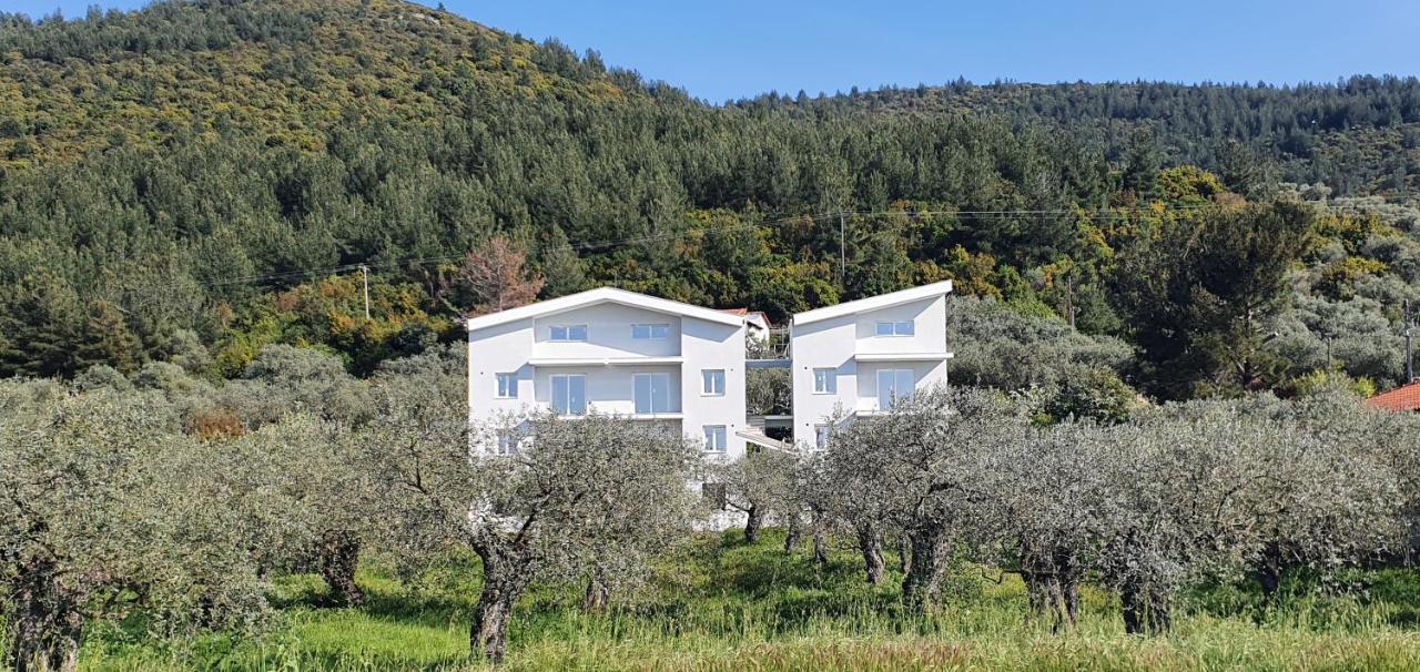 Harmony Thassos &