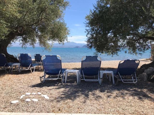 Kalimera Apartment