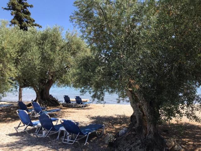 Kalimera * Kiveri