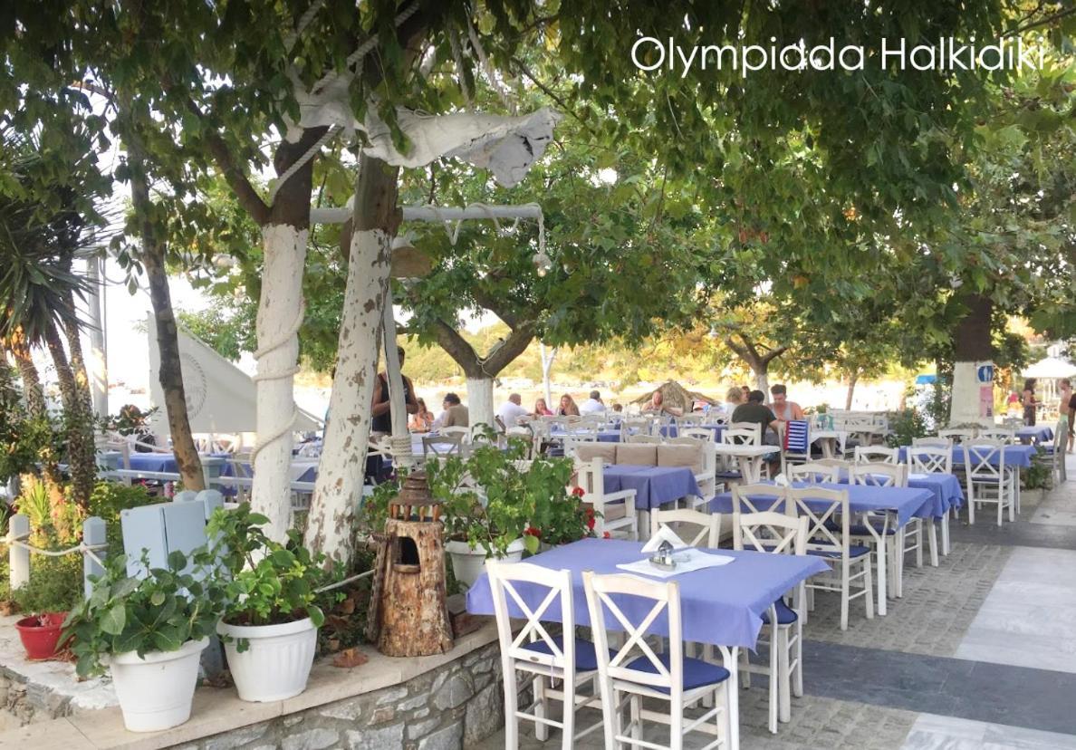Ekavi • Ancient Stagira Apts • Chalkidiki Apartment *