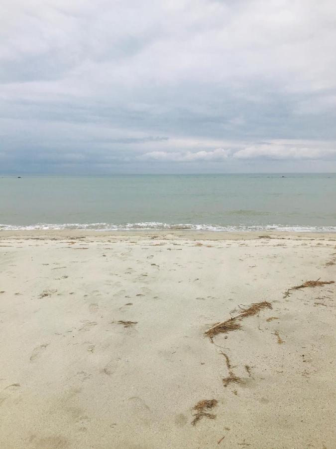 Nisel Seaside *