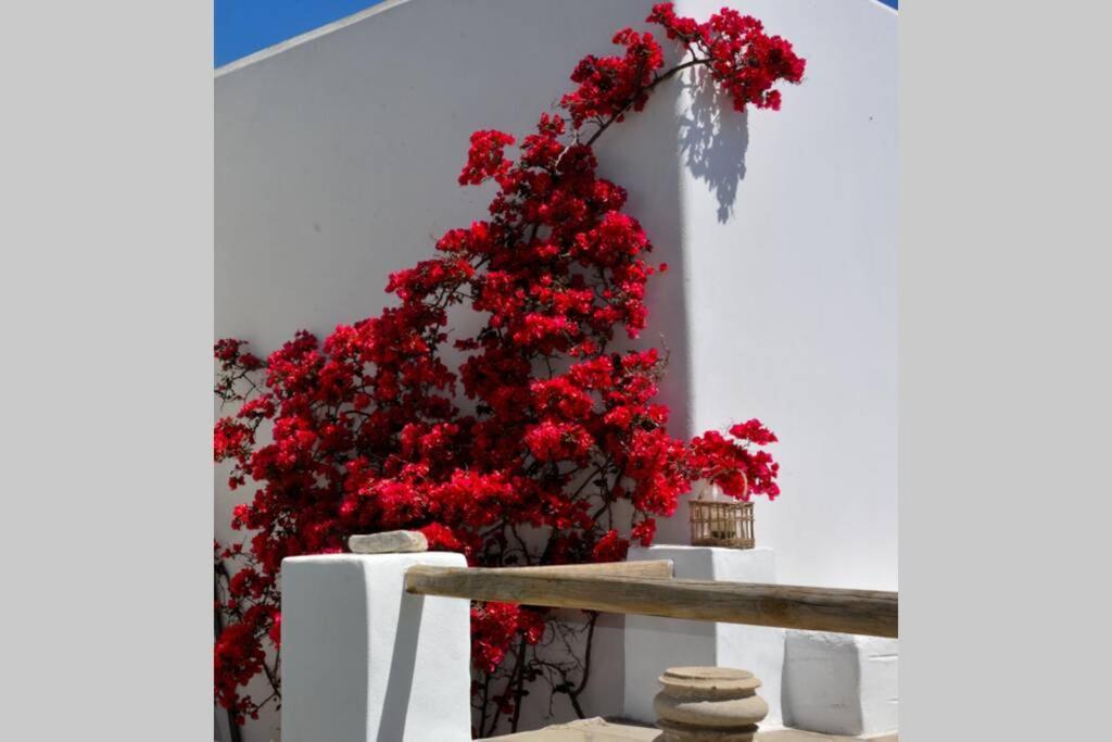 Holiday home Exquisite Estate, Serene Environment