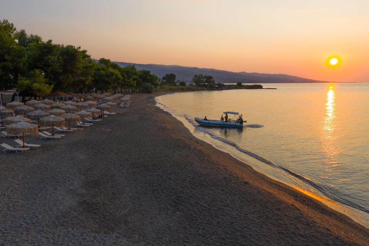 Aparthotel Makis