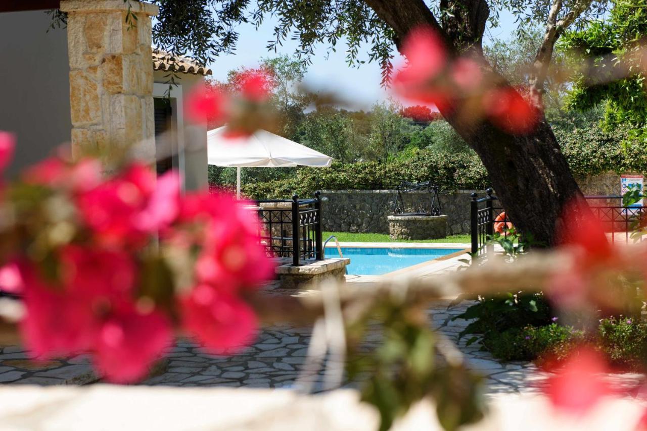 Villa Premium Jasmine With Private Pool Dassia (Corfu)