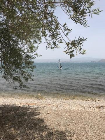 Kalimera *