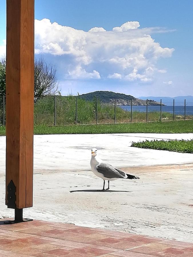 Apartment Mirini • Ancient Stagira Apts • Chalkidiki