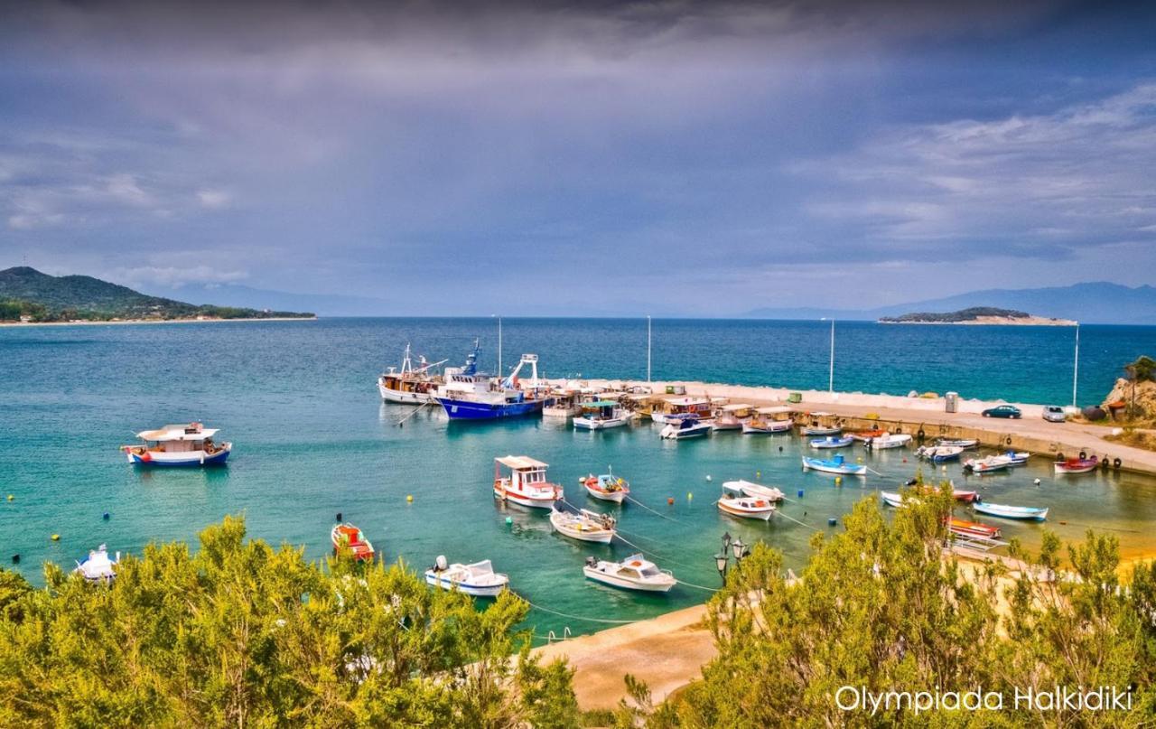 Ekavi • Ancient Stagira Apts • Chalkidiki Apartment