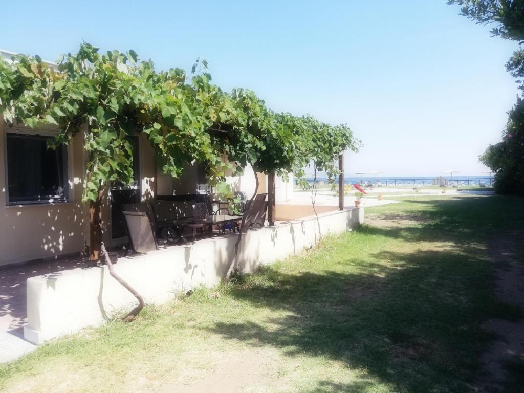 Apartment Mirini • Ancient Stagira Apts • Chalkidiki Olympiada