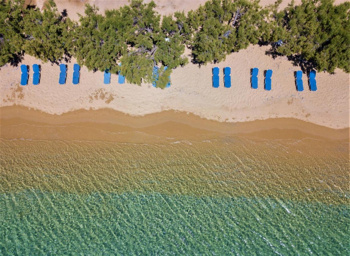Alexandros By The - Serifos Livadakia