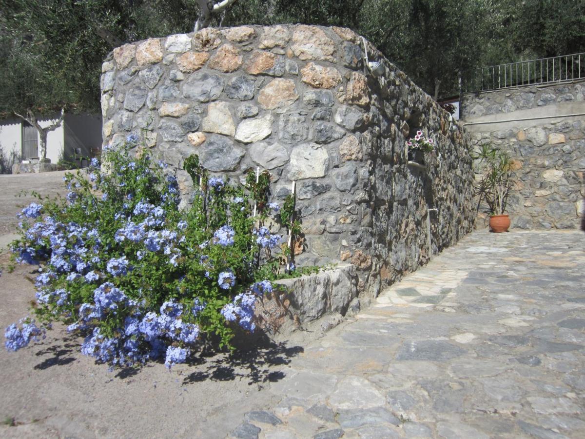Blue Yard *
