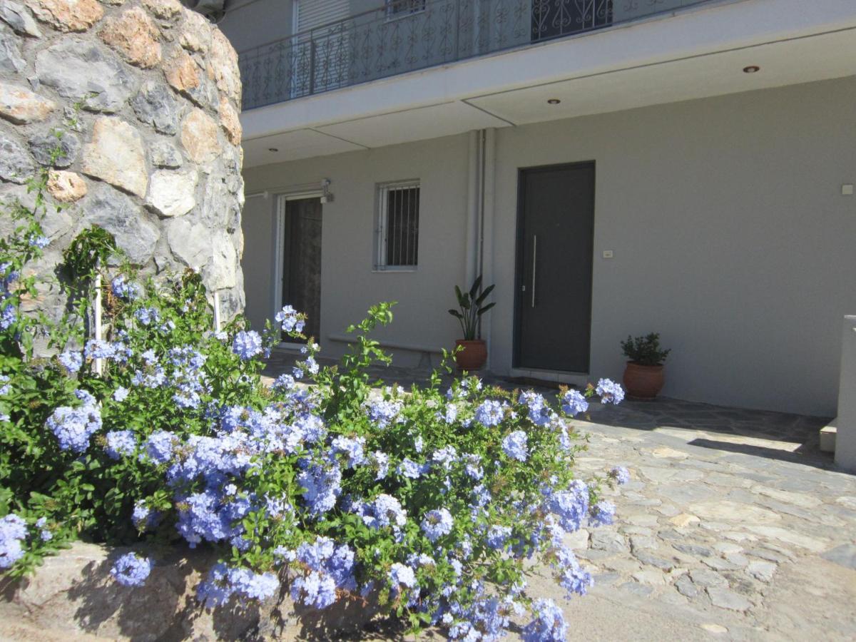 Apartment Blue Yard *
