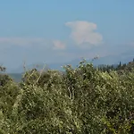 Elena - Kostas