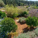 Euphoria Retreat