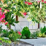 Chouzourakis Studios