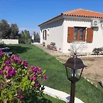 Stathi\'S House