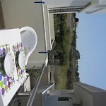 Lion-Suites