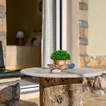 Nikos & Vassilis Apartments Kefalonia