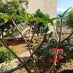 Village House With A Nice Garden