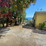Olea Home