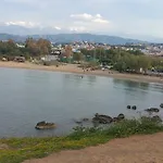 Zinovia