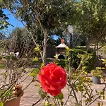 Frida\'S Apartments