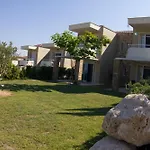 Sunny Hill