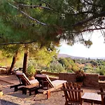 Stella\'S Traditional Inn
