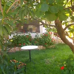 Golden Sun Apartments