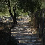 Vista Petros