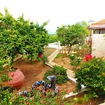 Village House With A Nice Garden