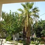 Zinovia