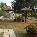 Despoina Meletiadou Nea Roda