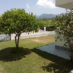 Ammos