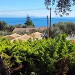 Alema Mare Barbati