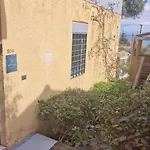 Alema Mare Barbati