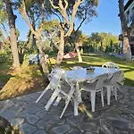 Golden Summer Apartment