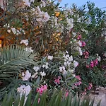 Pension Aretoussa