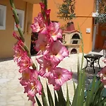 Studios Erietta