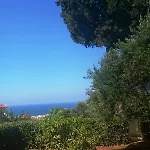 Amazones Sun