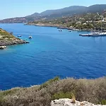 Palataki Absolute Blue