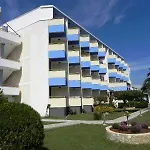 Albatros