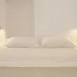 White Suite