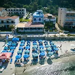 Delfini