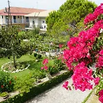 Arillas Studios